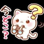 毎日♡猫ちゃんず【連絡・今何してる？】