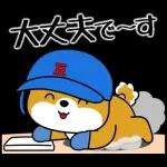 飛び出す！豆柴「野球と日常」