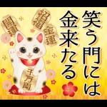 白馬の華やか飛び出す大人年賀状 2026 午年