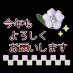 new year2023.12resale