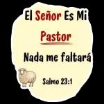QUE DIOS TE BENDIGA Y TE GUARDE Y HAGA RESPLANDECER SU ROSTRO SOBRE TI Y TENGA DE TI MISERICORDIA NÚMEROS 6:24-25