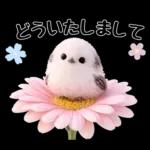 とってもかわいい♡シマエナガちゃん