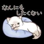 毎日使える♡大人可愛いガーリーキャット2