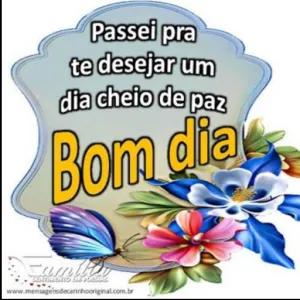 Passei pra te desejar um dia cheio de paz Bom dia - getsticker.com