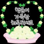 가정의 달 꽃 선물