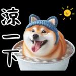 圓柴柴18:祝你有個可愛的一天❤️