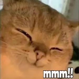 mmm!! - getsticker.com