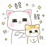 귀여운 새끼 고양이