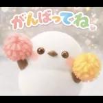 可愛いシマエナガ