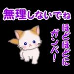 もふもふしっぽの子猫ちゃん　毎日使う言葉