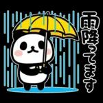 ぶなんなパンダ／お天気