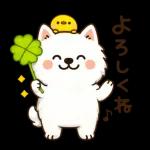 かわいいサモエド・元気いっぱいの春