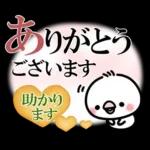 毎日しろちゃん22❤敬語・長文