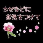 new year2023.12resale