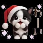 可愛いハチワレ猫 サンタ帽 冬 気づかい
