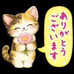 猫まみれのやさしい日常【春】