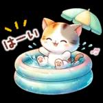 猫のつめあわせ【夏】