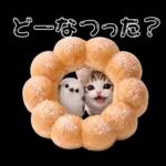 仲良し♡シマエナガと子猫ちゃん