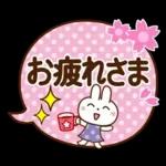 春を感じる♡うさぎさん