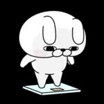 うさぎ&くま１００％ 冬の日常