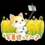 猫のつめあわせ⑤【春】