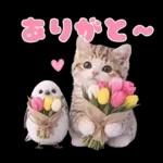 よろしくお願いします