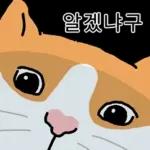 고양이 확대 2