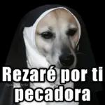 BUENOS DIAS Que hoy tengas uno de esos días bonitos que alegran el alma