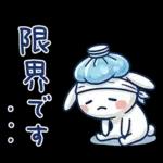 毎日使える夏☆ほぼ白うさぎ