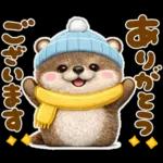 小さなカワウソ♡冬に役立つ