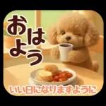 【秋冬】ずっと使える❤️日常会話 トイプー