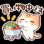 毎日♡猫ちゃんず【連絡・今何してる？】
