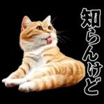 生成失敗猫【毒舌・煽り・煽る・シュール】