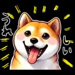 柴犬ワンダフル！！！！！
