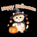 秋冬 毎日使える コスにゃんず 日常