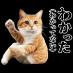 生成失敗猫【毒舌・煽り・煽る・シュール】