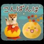 大人かわいい秋の癒し柴犬