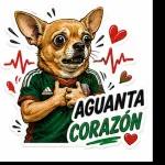 ¡Vamos México!