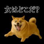 ガンギマリの柴犬＠エロ・日常会話