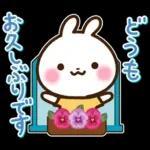 うさぎさん 春・梅雨・初夏