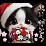 可愛いハチワレ猫 サンタ帽 冬 気づかい