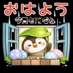 ぺんちゃんと梅雨じかん