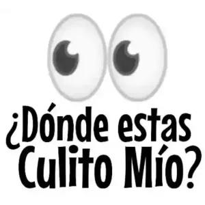 ¿Dónde estas Culito Mío? - getsticker.com