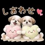 気持ち伝わる癒やしシーズー