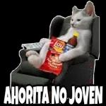 Pegatinas de gatos y perros