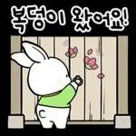 명절 토끼 인사드려요