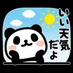 ぶなんなパンダ／お天気