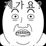 오늘의 짤 #박짤대소