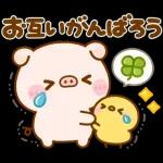 ポコちゃんピッグスプリングポップアップ