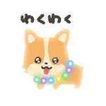 ぴかぴかわんわん